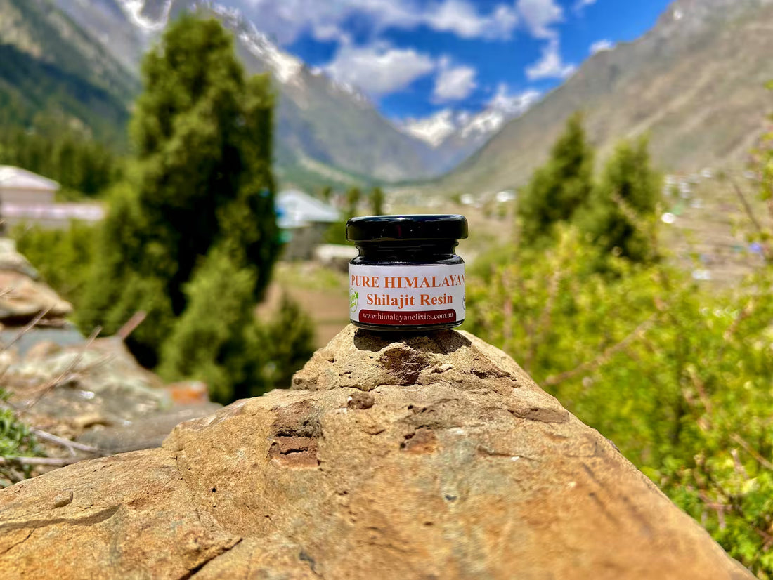 Genuine Himalayan shilajit resin, the focus of this buyer's guide for Australia
