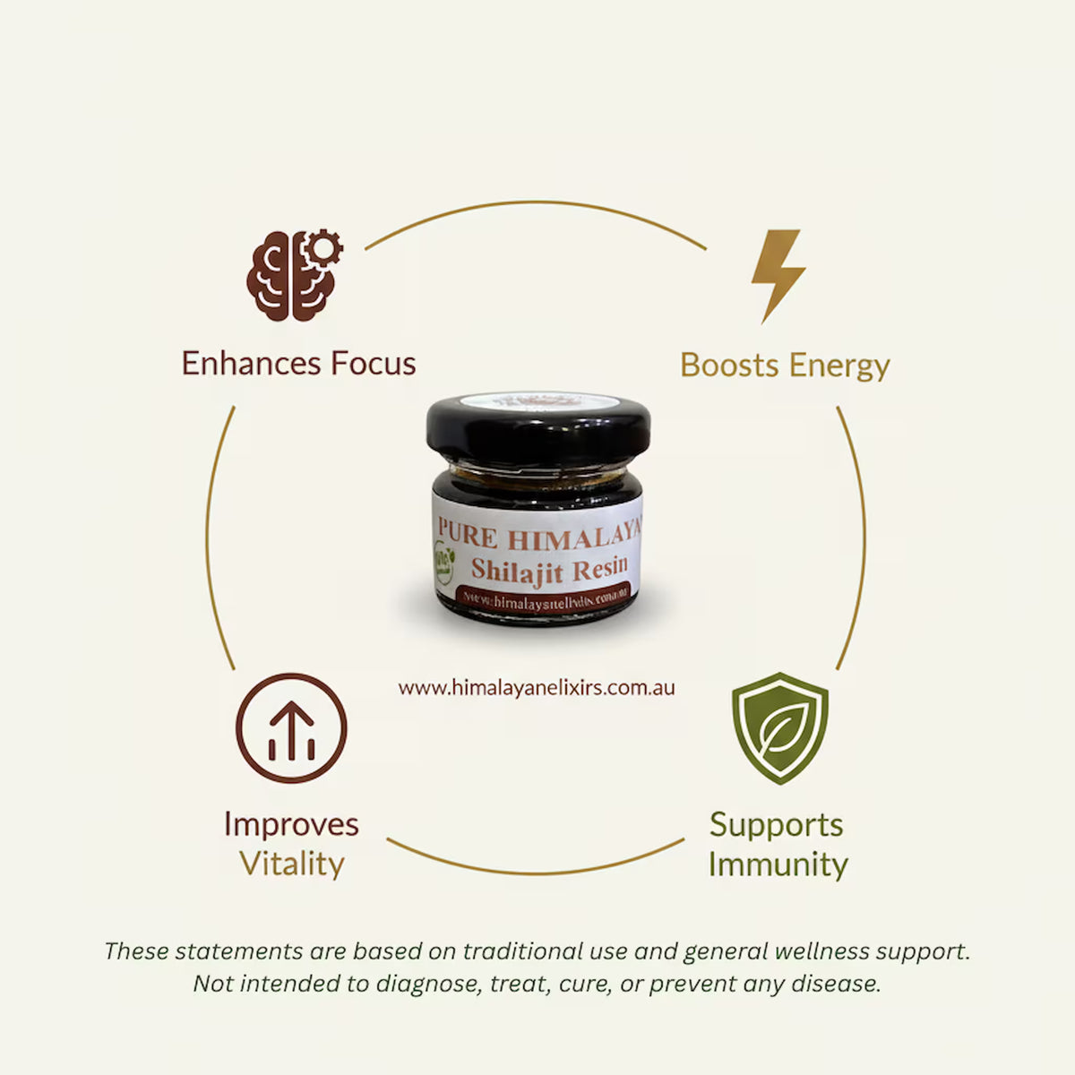 Shilajit resin health benefits infographic by Himalayan Elixirs, natural Himalayan superfood supplement available in Australia